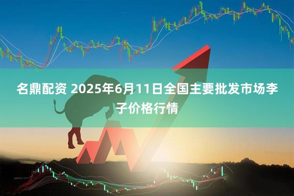 名鼎配资 2025年6月11日全国主要批发市场李子价格行情