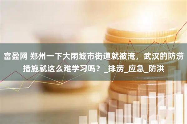 富盈网 郑州一下大雨城市街道就被淹，武汉的防涝措施就这么难学习吗？_排涝_应急_防洪