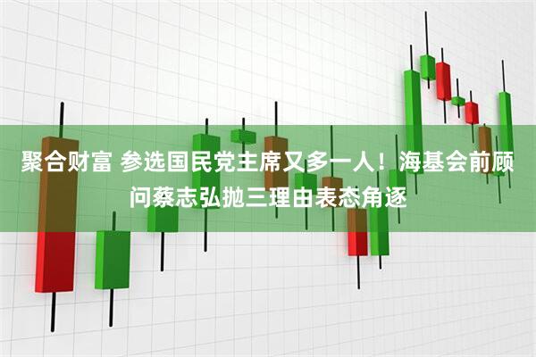 聚合财富 参选国民党主席又多一人！海基会前顾问蔡志弘抛三理由表态角逐