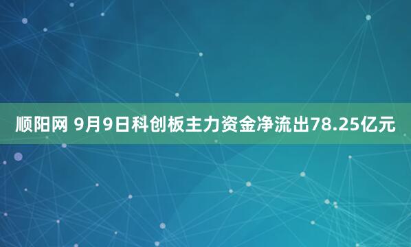 顺阳网 9月9日科创板主力资金净流出78.25亿元