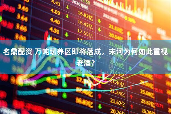名鼎配资 万吨坛养区即将落成，宋河为何如此重视老酒？