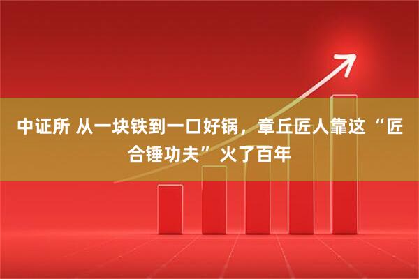 中证所 从一块铁到一口好锅，章丘匠人靠这 “匠合锤功夫” 火了百年