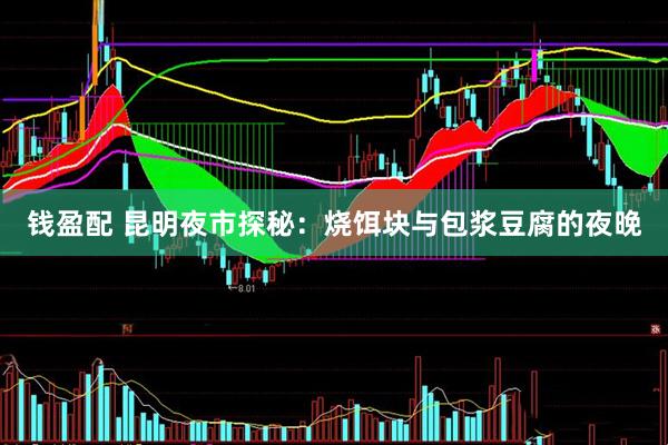 钱盈配 昆明夜市探秘：烧饵块与包浆豆腐的夜晚
